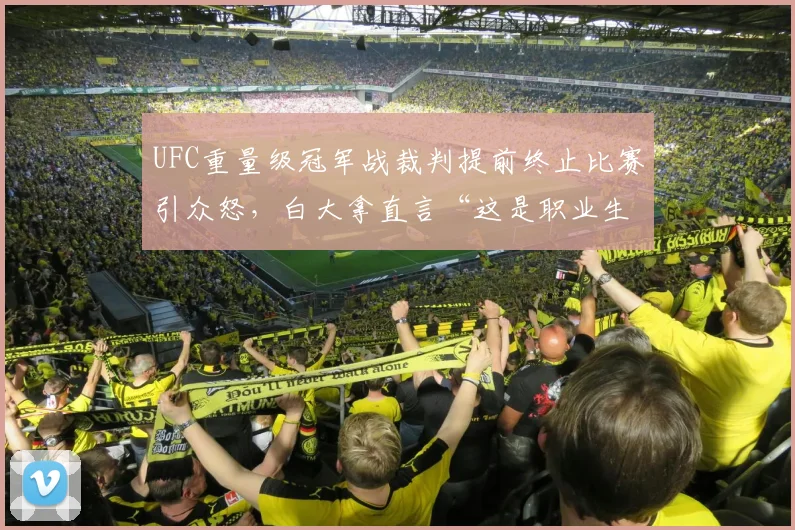 UFC重量级冠军战裁判提前终止比赛引众怒，白大拿直言“这是职业生涯最差判罚”